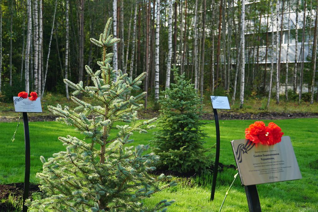 ВНИИМ им. Д.И. Менделеева заложил Лес Победы