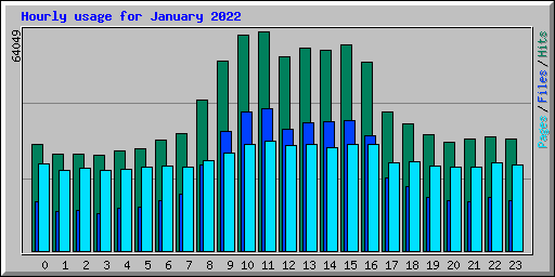 Hourly usage for January 2022