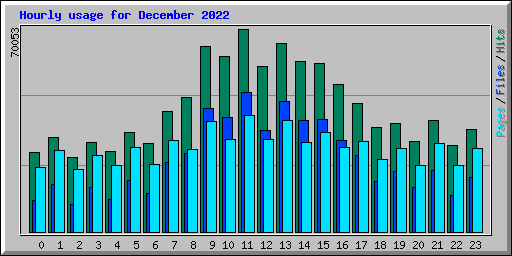 Hourly usage for December 2022