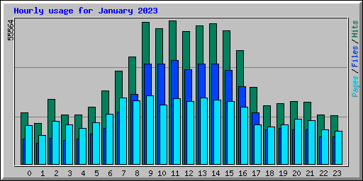 Hourly usage for January 2023