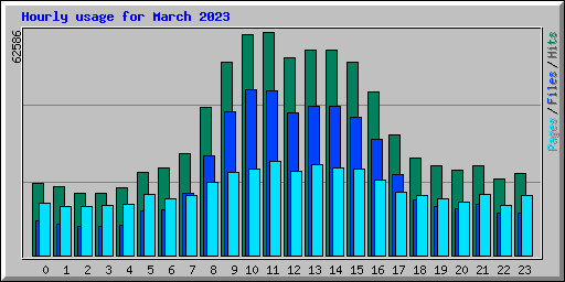 Hourly usage for March 2023